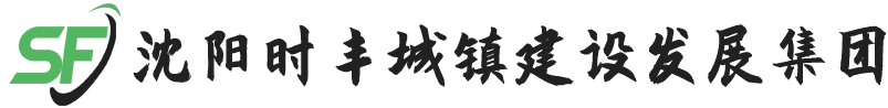 沈阳时丰城镇建设发展集团有限公司