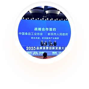 政府引领产业发展